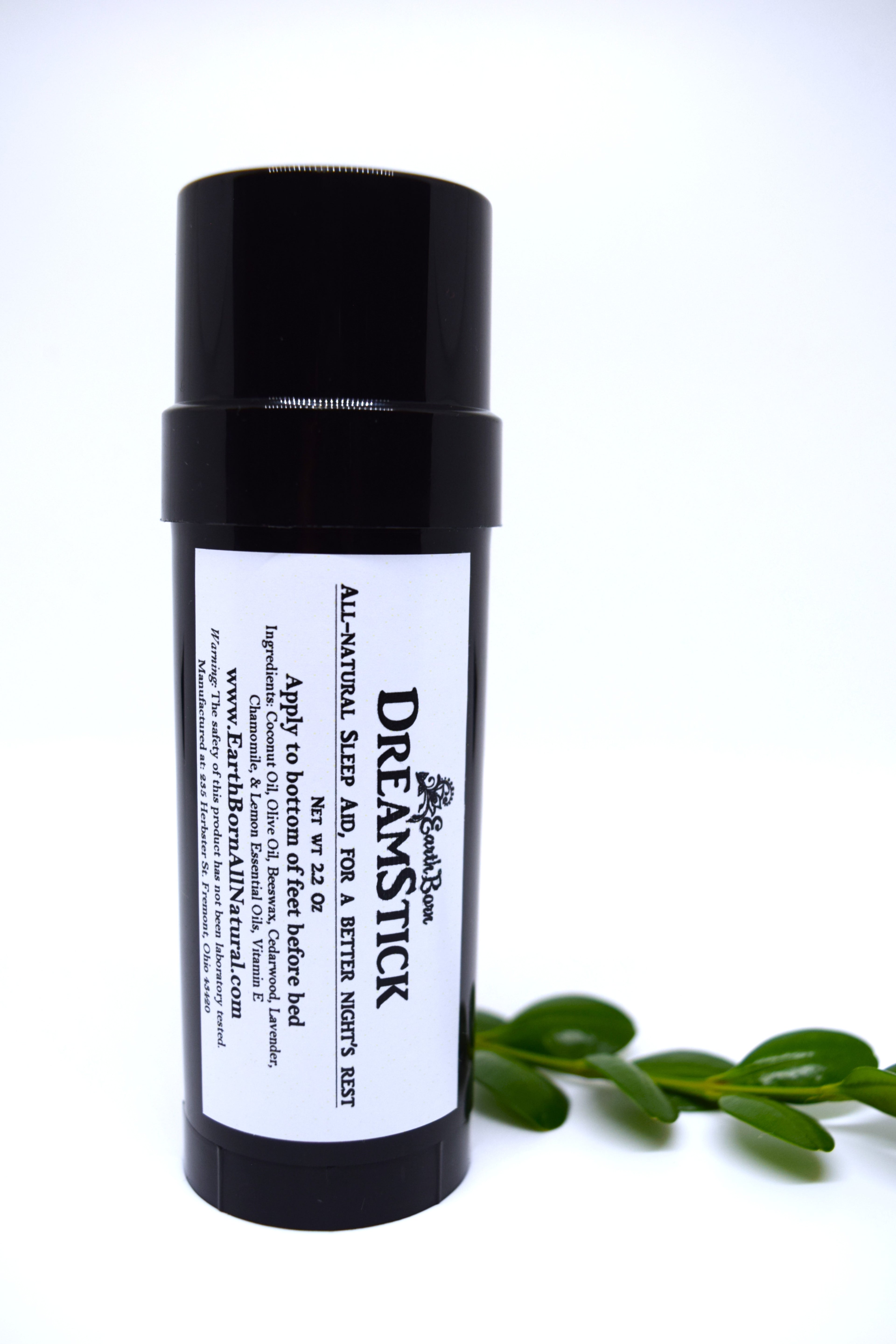 DreamStick