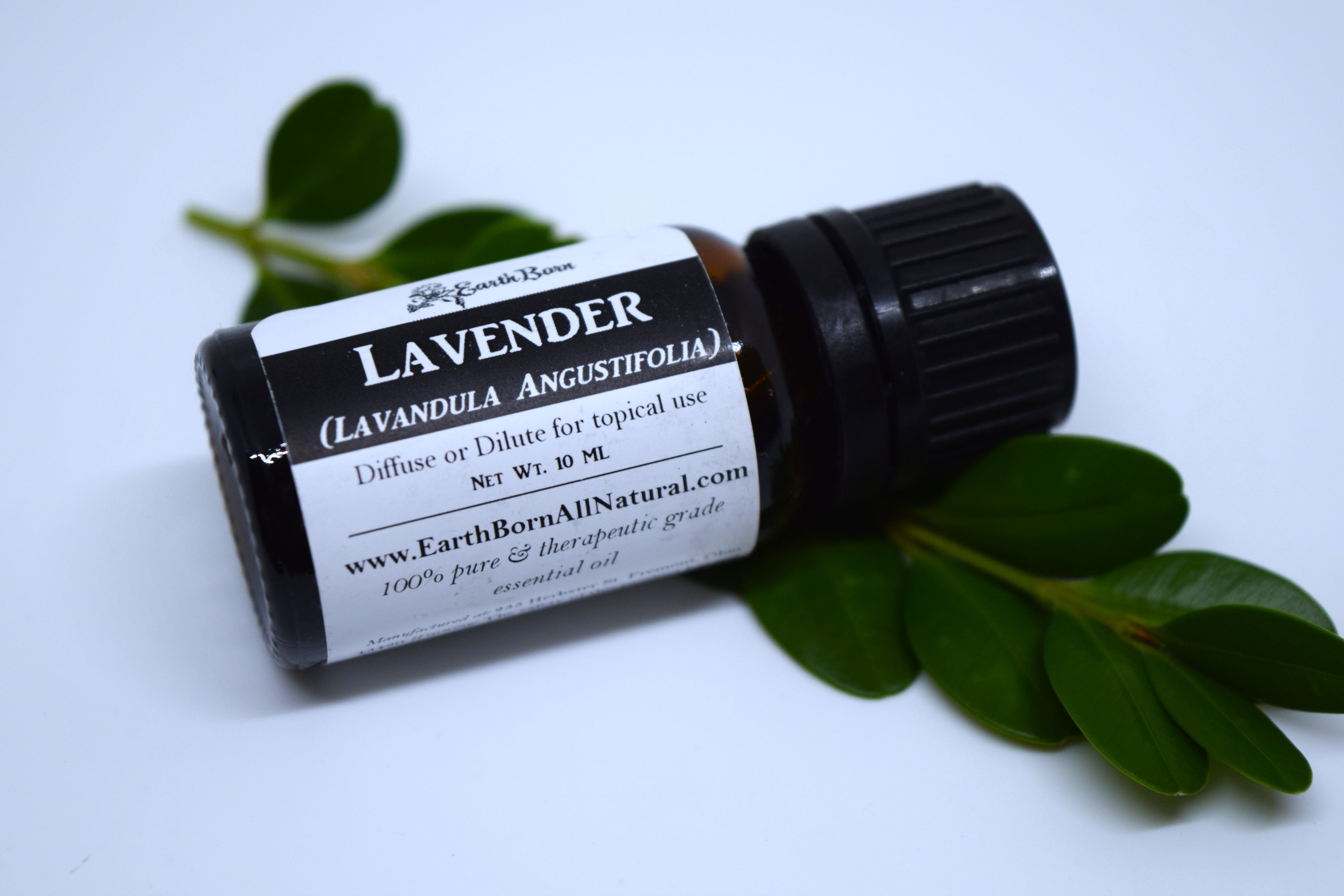 Lavender (Lavandula Angustifolia) Essential Oil